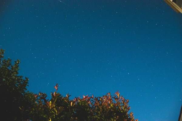 Melatonin